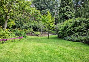 Optimiser l'expérience du jardin à Beaulieu-sur-Layon